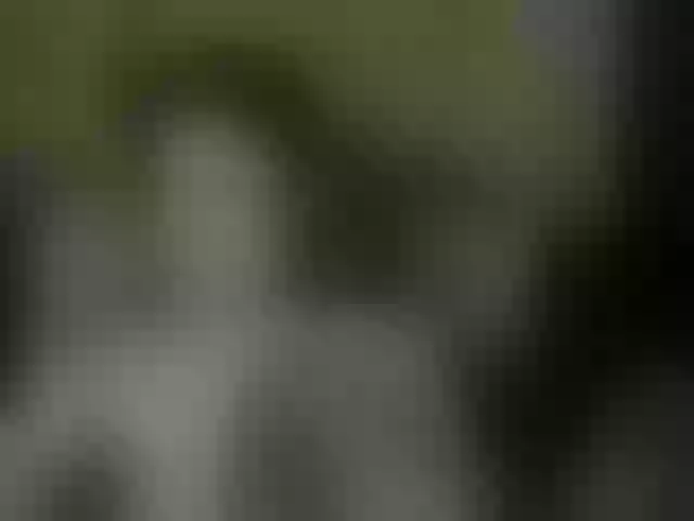 Live sex webcam photo for Aliciafolow009 #291228204