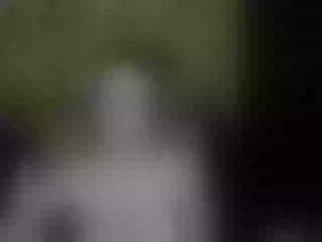 Live sex webcam photo for Aliciafolow009 #291428845