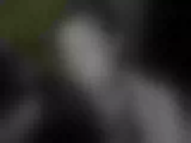 Live sex webcam photo for Aliciafolow009 #291844589