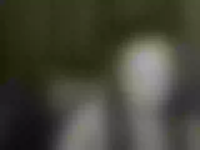 Live sex webcam photo for Aliciafolow009 #291892917