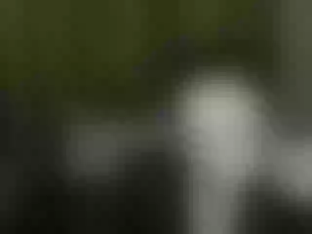 Live sex webcam photo for Aliciafolow009 #291955974