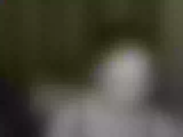 Live sex webcam photo for Aliciafolow009 #291986875