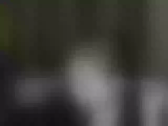 Live sex webcam photo for Aliciafolow009 #292002441