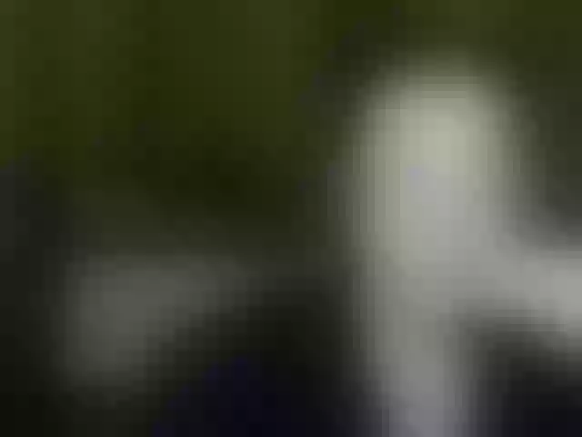 Live sex webcam photo for Aliciafolow009 #292077779