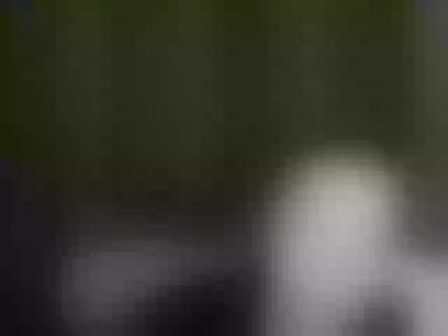 Live sex webcam photo for Aliciafolow009 #292088199
