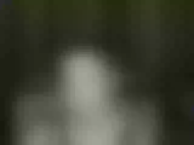 Live sex webcam photo for Aliciafolow009 #292118240