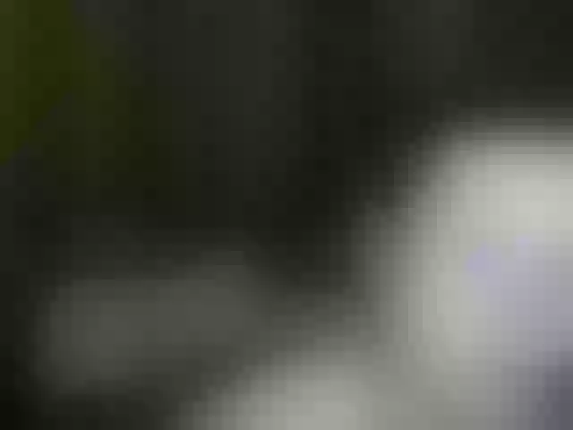 Live sex webcam photo for Aliciafolow009 #292123137