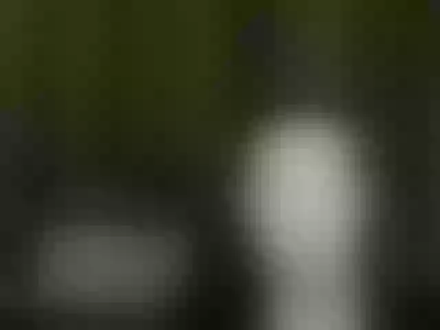 Live sex webcam photo for Aliciafolow009 #292124472