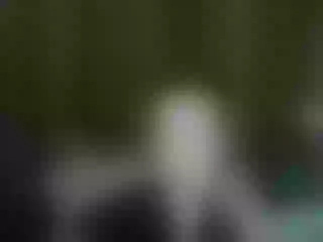 Live sex webcam photo for Aliciafolow009 #292133379
