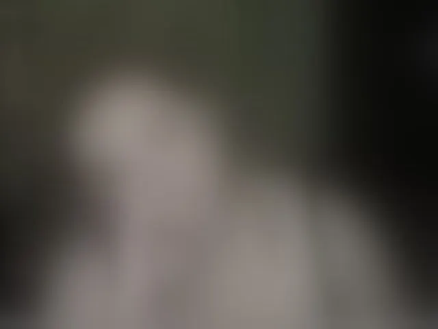Live sex webcam photo for Aliciaredluv #293673550