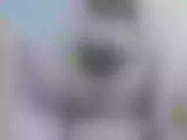 Live sex webcam photo for Alida-2 #272449829