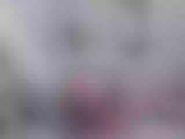 Live sex webcam photo for Alida-2 #273436824