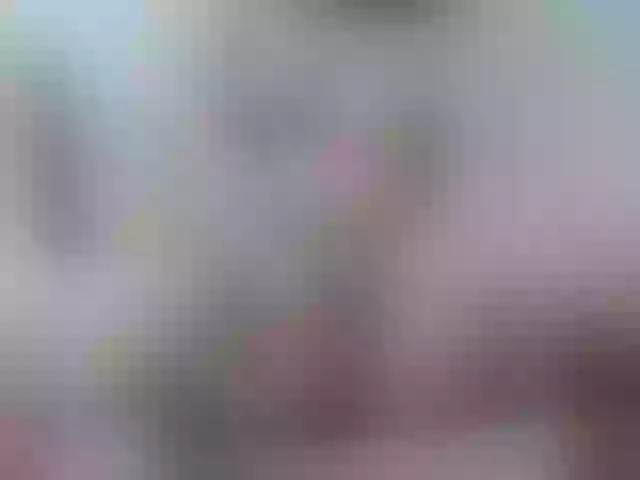 Live sex webcam photo for Alida-2 #273566707
