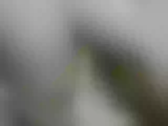 Live sex webcam photo for Alida-2 #278182602