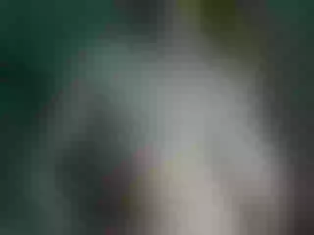 Live sex webcam photo for Alida-2 #291506775
