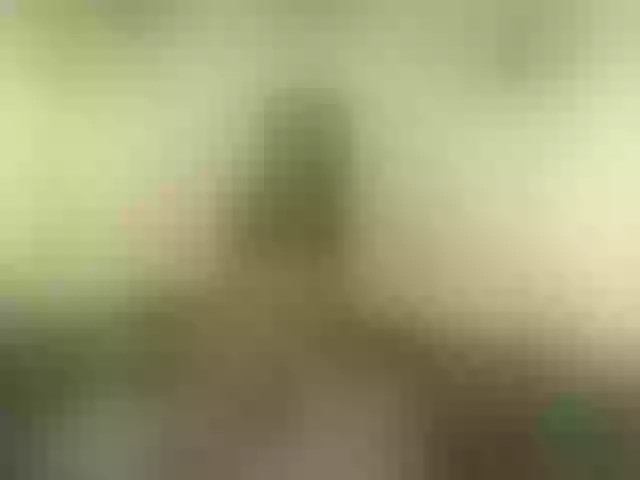 Live sex webcam photo for AlikaAdul #291240609