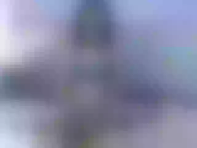 Live sex webcam photo for AlikaAdul #292175605