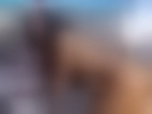 Live sex webcam photo for AlikaAdul #292509699