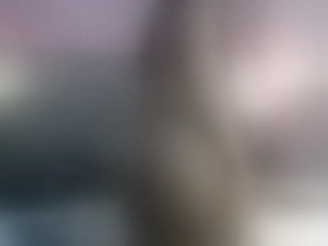 Live sex webcam photo for AlikaAdul #292633372