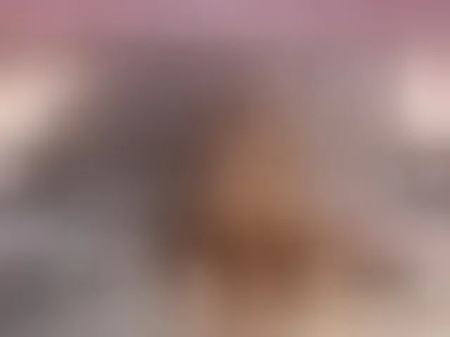 Live sex webcam photo for AlikaAdul #293086325