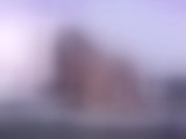 Live sex webcam photo for AlikaAdul #293388163