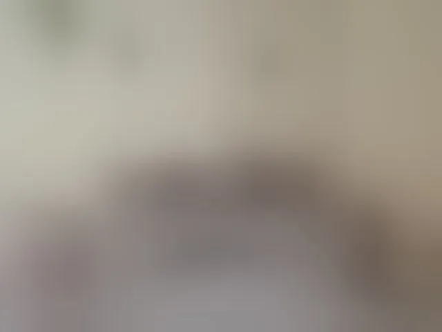 Live sex webcam photo for AlinaLoves #293964996