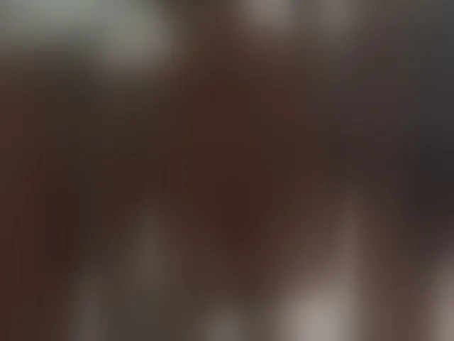 Live sex webcam photo for AlinaPairs #294017167