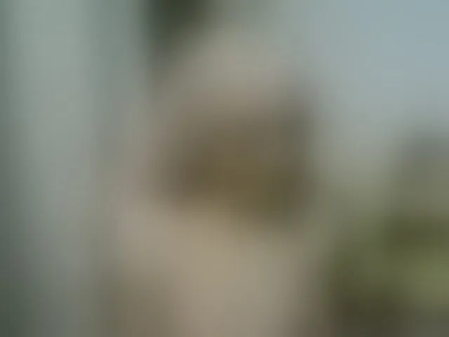 Live sex webcam photo for AlinaSvetlana #293889777