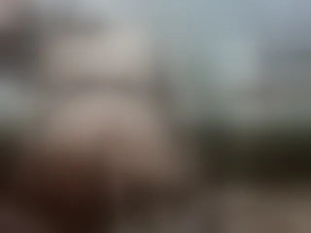 Live sex webcam photo for AlinasissyX #293539826