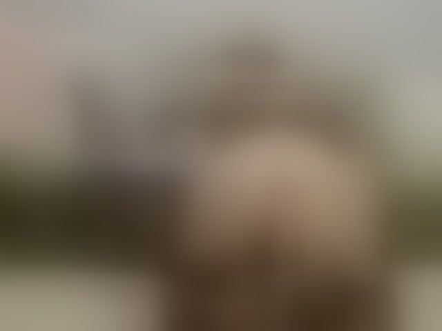 Live sex webcam photo for AlinasissyX #294144297