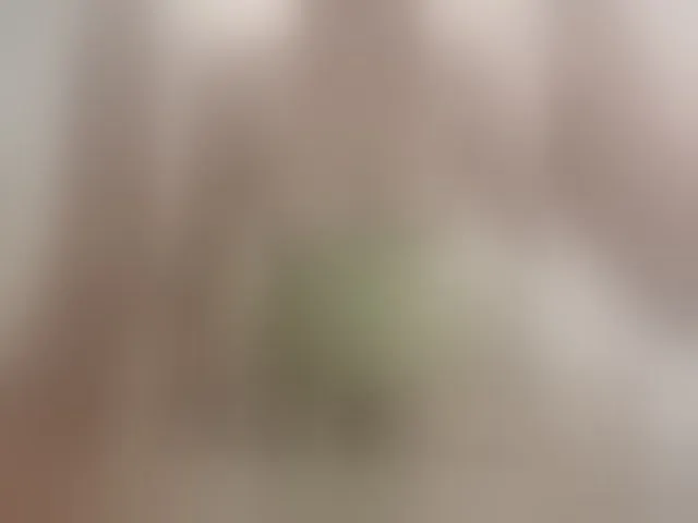 Live sex webcam photo for Alisa-33 #294025748