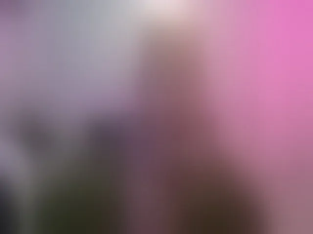 Live sex webcam photo for AlisaAleks #293671397