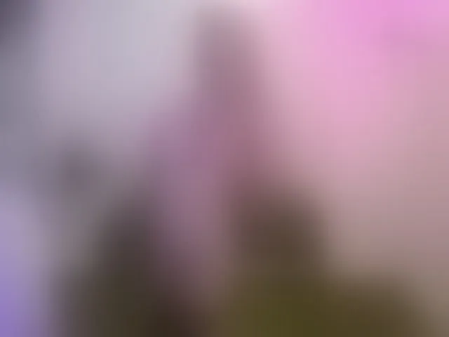 Live sex webcam photo for AlisaAleks #293734317