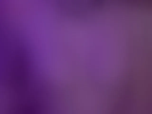 Live sex webcam photo for AlisaRogs #293307455