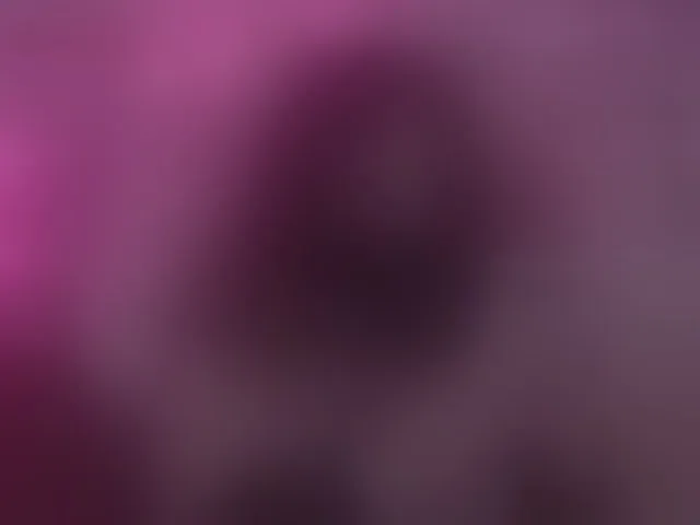 Live sex webcam photo for AlisaRogs #293390224