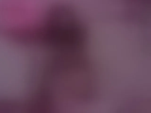 Live sex webcam photo for AlisaRogs #293411778