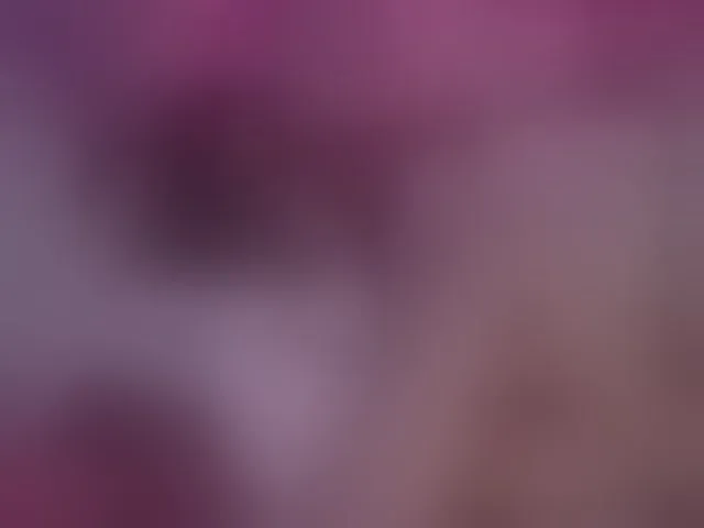 Live sex webcam photo for AlisaRogs #293439698