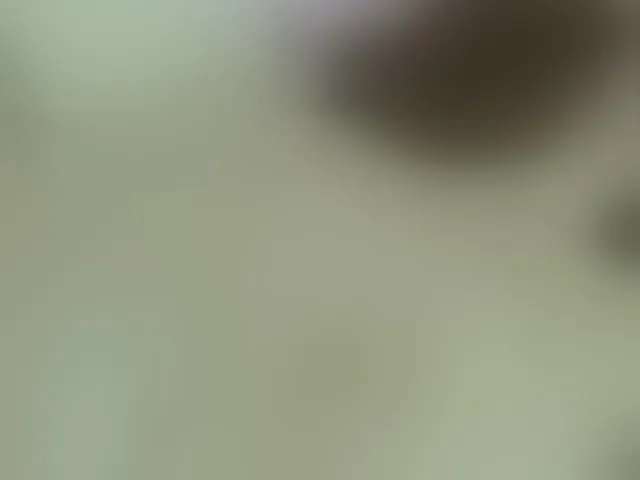 Live sex webcam photo for AlisaSweety #293185065