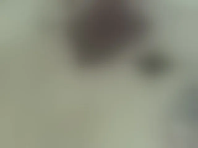 Live sex webcam photo for AlisaSweety #293611717
