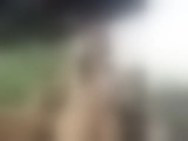 Live sex webcam photo for Alisasqrl #293927170