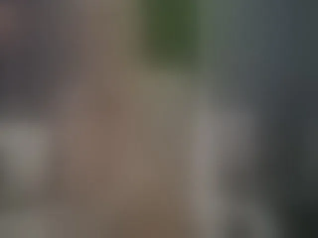 Live sex webcam photo for AlissaVox #294186877