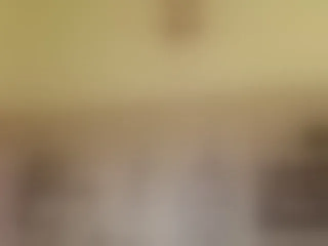 Live sex webcam photo for AlizeHentaiMeow #293397967