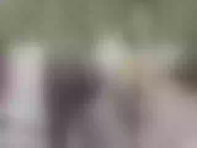 Live sex webcam photo for AlizonMoreti #290972903