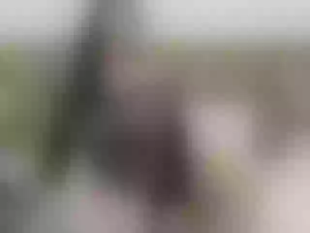 Live sex webcam photo for AlizonMoreti #291496255