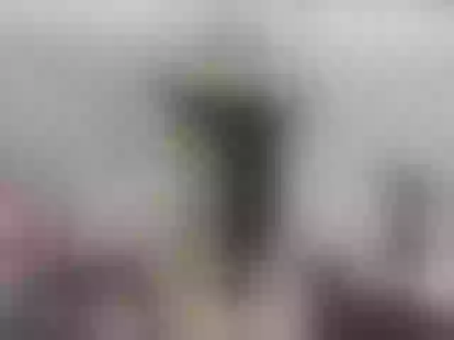 Live sex webcam photo for AlizonMoreti #291688380