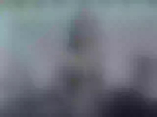 Live sex webcam photo for AlizonMoreti #291949500