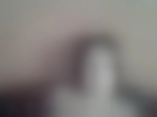 Live sex webcam photo for AllaSowinskaya #292697607