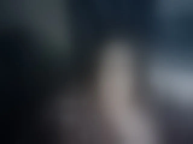Live sex webcam photo for AllaSowinskaya #292775705