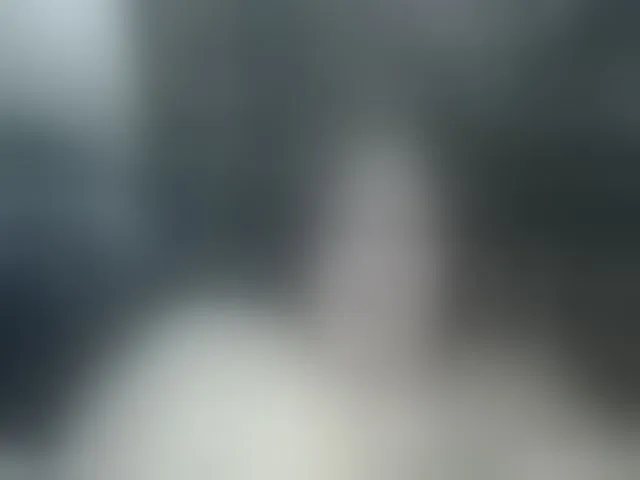 Live sex webcam photo for AllaSowinskaya #293035583