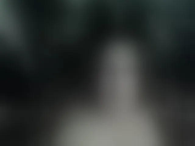 Live sex webcam photo for AllaSowinskaya #293142469